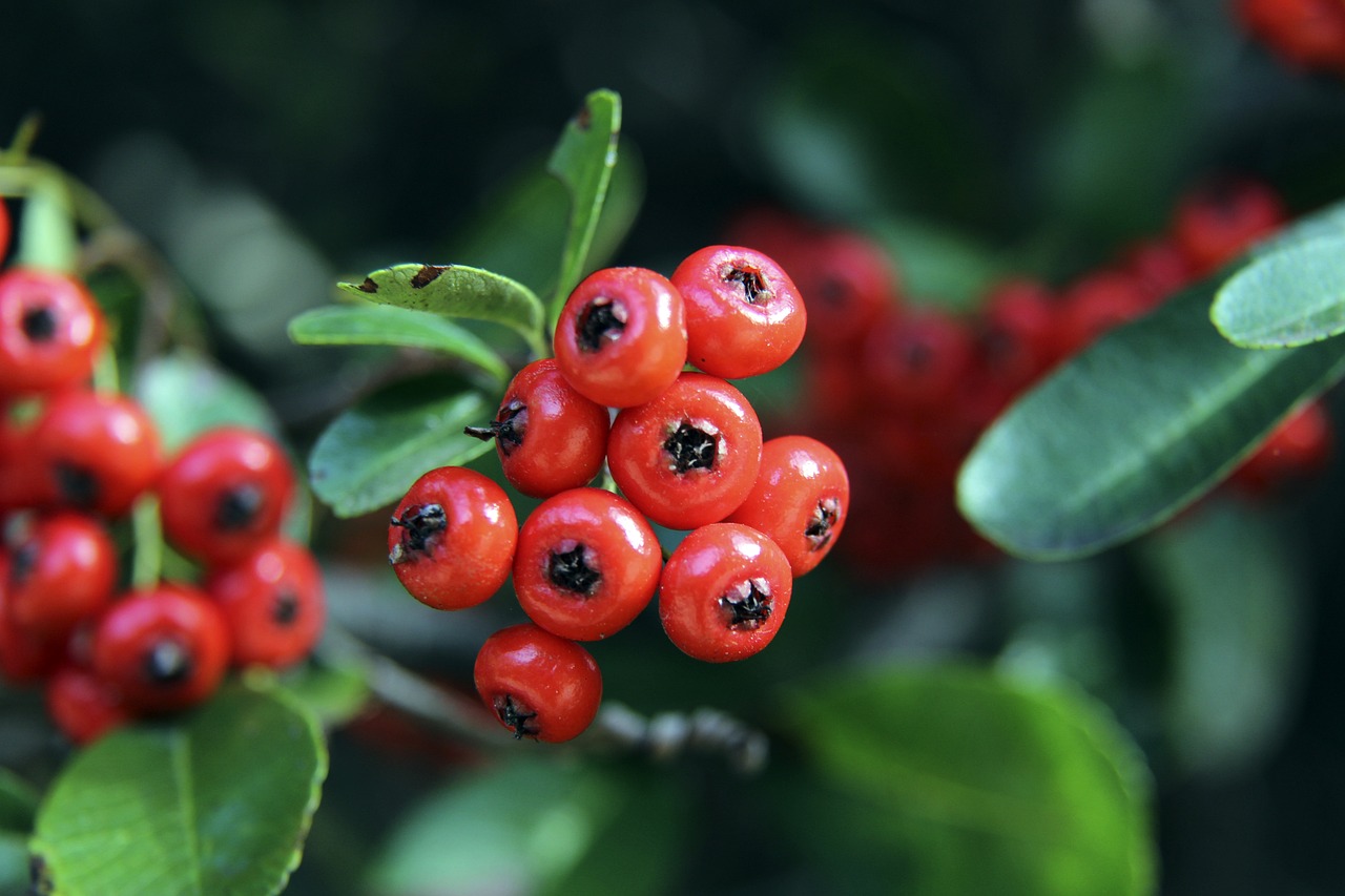 內外早已有 內外早已有