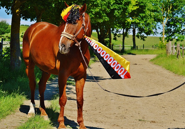 单赛季双进 单赛季双进