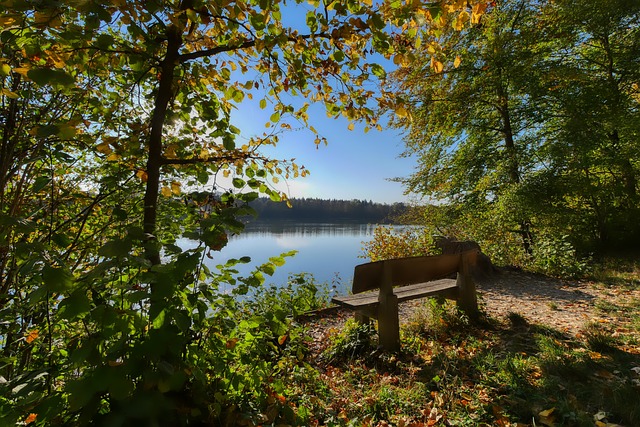 美国亚利桑那州两架小型飞机相撞 已致2人死亡.